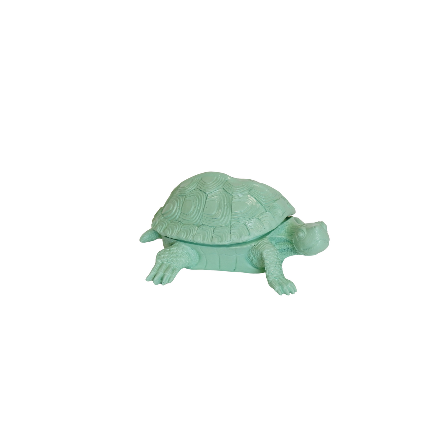 Turtle Box - Polyresin -  Mintgreen - 15.5x13.5x7.5cm