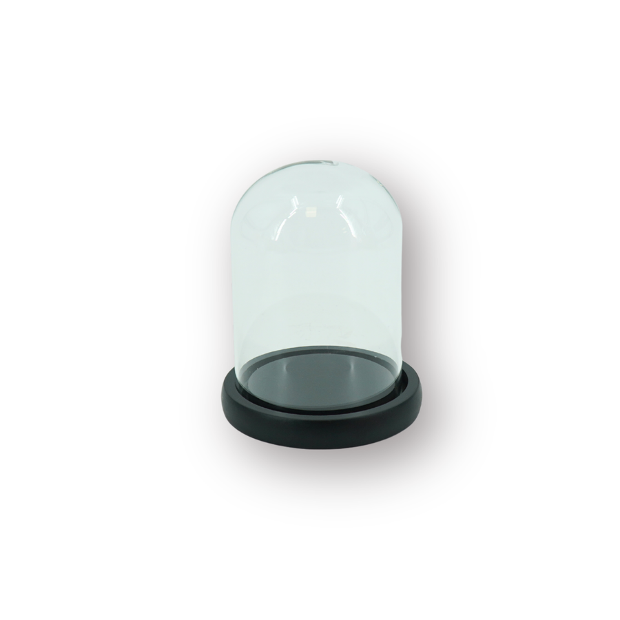 Bell Jar - Glass/Wood - Black - 11x11x15cm