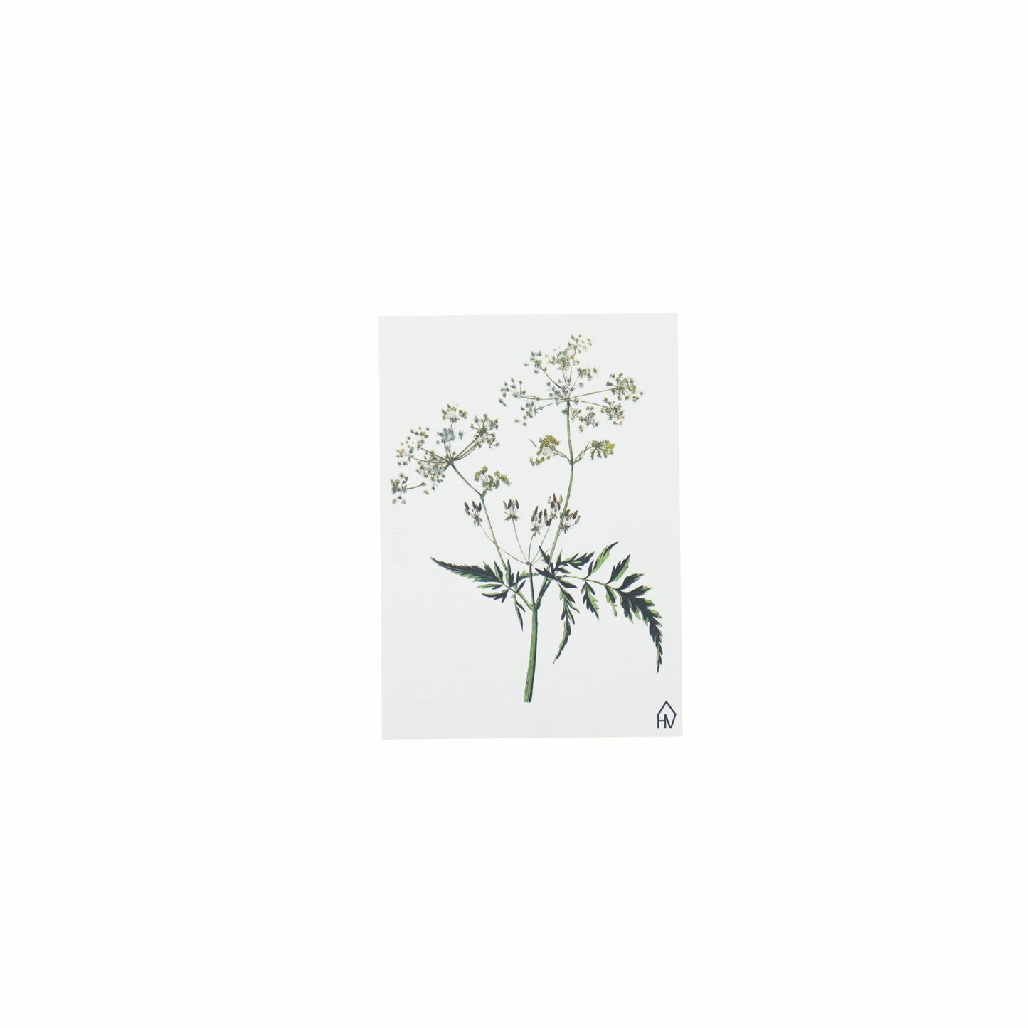 HV Post card Flutflower - A6