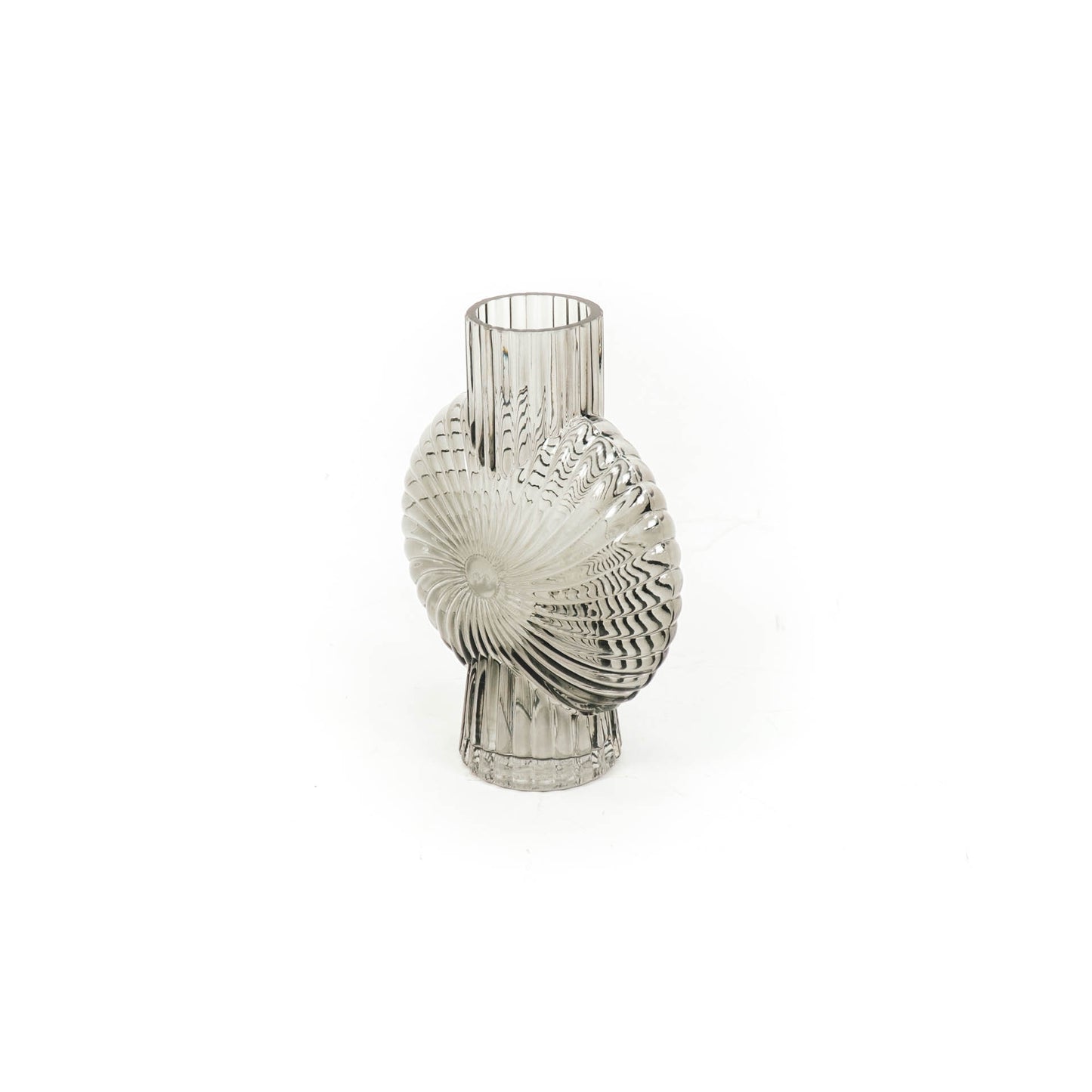HV Ribbled Shell Vase - 16x7.5x21cm