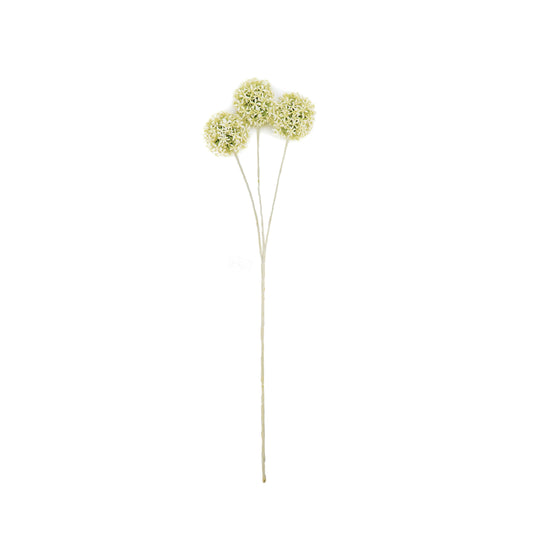 HV Allium Branch - White/Green - 20x65cm - Polysterene