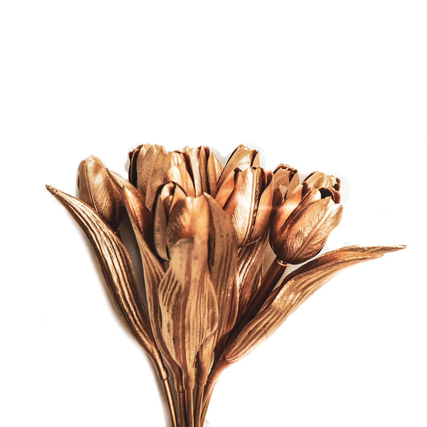 HV 12 Golden Tulips - 20x40 cm - Polysterene
