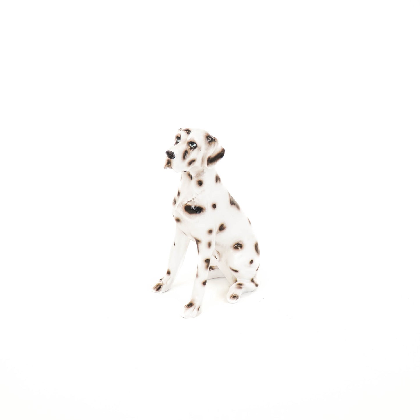 Housevitamin Dalmatian - Black/White